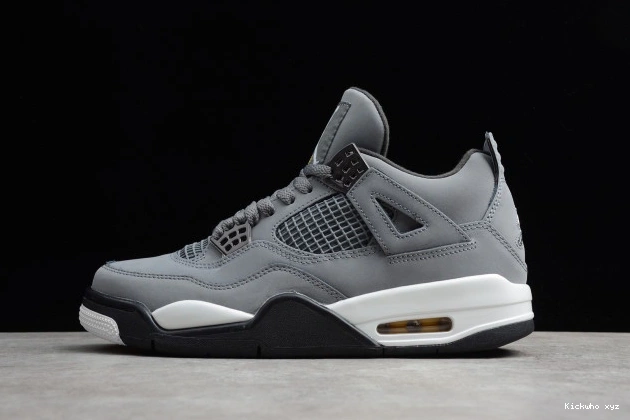 Cool Retro 308497-007 Grey Jordan (2019) Air 4 0521